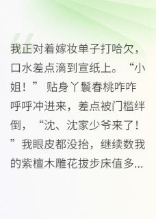 小荷沈砚全本小说 未婚夫爱上我的陪嫁丫鬟全文免费在线阅读