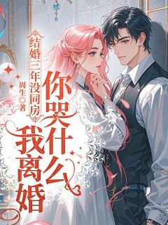 新上结婚三年没同房,我离婚你哭什么周生小说免费阅读