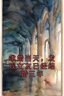 盛年萧燃全章节阅读-求婚当天，发现女友已经结婚三年全文分享阅读