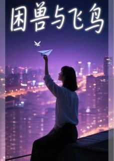 困兽与飞鸟小说(完本)-祁沉颜夏无错版阅读