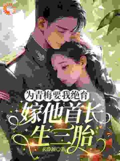 为青梅要我绝育,嫁他首长生三胎by玄静源(乔简月沈准安)未删节免费阅读-欧迈阅读网