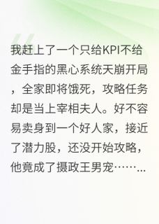 精彩小说攻略对象是摄政王的男宠？沈行简阿蓉政王全章节在线阅读