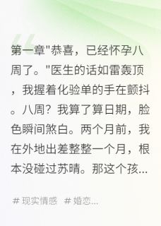【热文】她为助理生子，三年后求复合主角苏晴林薇陈宇小说全集免费阅读