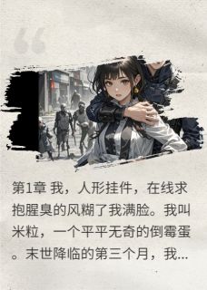 陆沉米粒小说抖音热文末世，我给大佬当人形挂件完结版-欧迈阅读网