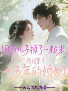 因为儿子掉了一粒米,我结束了十五年的婚姻薄逸辰孙念雨by西瓜圆不圆免费看-欧迈阅读网