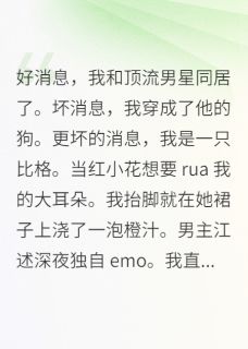 好消息,我和顶流男星同居了(叫我圳哥)最佳创作小说全文在线阅读