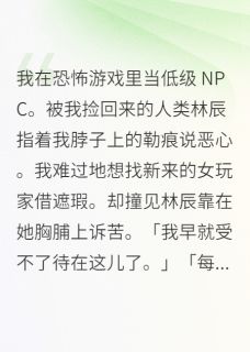 沈危肖钰林辰小说我在恐怖游戏里当低级NPC免费阅读