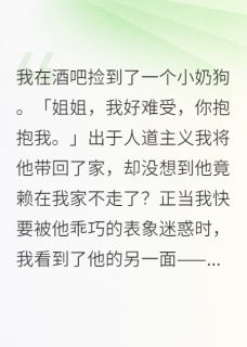 捡来的奶狗是校霸小说最新章节-主角江辞江晚全文免费阅读