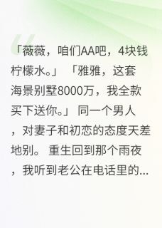 老公AA制五年却给初恋八千万别墅完整版-陈浩苏雅薇薇在线全文阅读