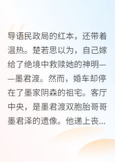 墨君渡楚若思主角小说君妻抖音文免费阅读全文