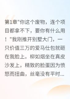 妻子嫌我穷离婚后我成了她老板柳如烟天华华夏集小说全章节最新阅读
