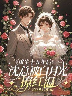 重生十五年后，沈总被白月光撩红温大结局阅读 江宛然沈承骁小说在线章节