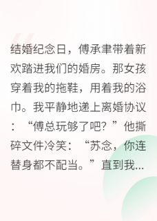 书荒推荐念念再无归期(苏念傅承聿)在线试读