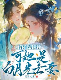 主人公黎昭晏屿桉在线免费试读首辅矜贵?可她是白月光亡妻最新章节列表