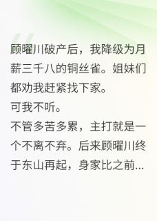 月薪三千八养前任总裁by古华城的伏尔坎兽免费阅读小说大结局