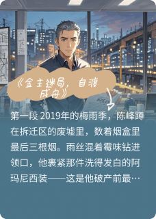 金主迷局，自渡成舟小说(完整版)-陈峰赵坤章节阅读