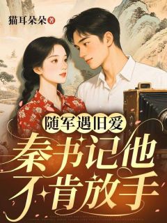 免费试读主角安宁秦沉舟小说