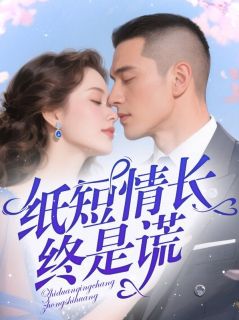 百度贴吧小说纸短情长终是谎，主角文熙沈砚迟全文免费