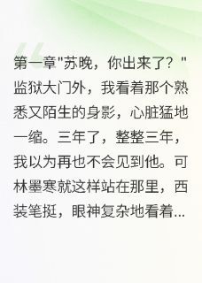 林墨寒江语嫣小说章节目录阅读-三年牢狱后,前夫跪求我原谅在哪免费看