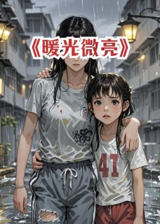 好文热推小说暖光微亮主角林晚林晓全文在线阅读