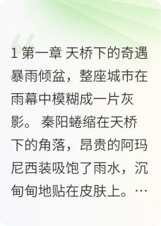 爱吃烩土豆的冰甲的小说天桥下的奇遇主角是秦阳颜如雪-欧迈阅读网