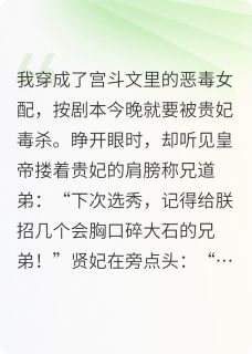 抖音热推小说朕的后宫不宫斗,全员都是我兄弟全文在线阅读
