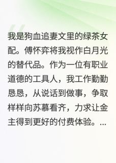 孟孟傅怀弈苏慕最新章节在线阅读