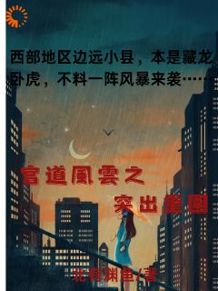 官道风云之突出重围小说木见林林映雪免费阅读-欧迈阅读网