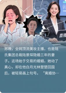 苏晚陆景琛全本章节在线阅读大结局-欧迈阅读网