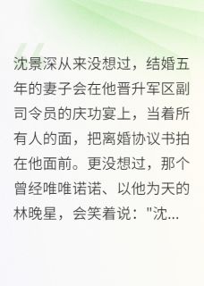百度贴吧小说军区副司令慌了，妻子要离婚，主角沈景深晚星全文免费