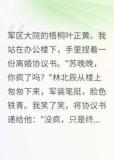 军区首长求复合,我拒绝了未删减阅读