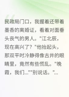 抖音小说那场假离婚，成了我一生的遗憾江北辰苏雅琴全文txt