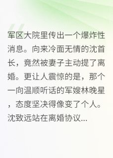 冷面军官的挽妻攻略无广告阅读 沈致远方婉婷林晚星免费在线阅读