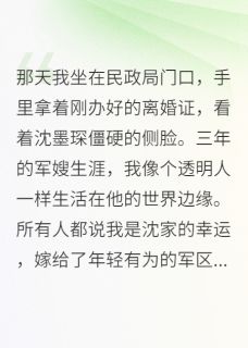 主角沈墨琛晚晴的小说作者楠楠不吃番茄
