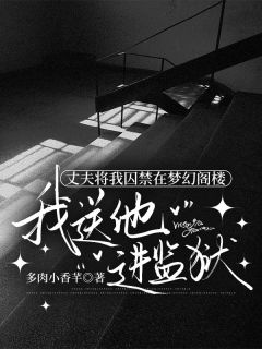 小说丈夫将我囚禁在梦幻阁楼，我送他进监狱主角为沈年康康免费阅读