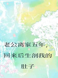 老公离家五年,回来后生剖我的肚子by高文景洛颖儿在线阅读