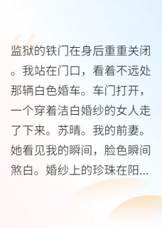 高质量小说出狱那天，前妻穿着我仇人的婚纱在线试读-欧迈阅读网