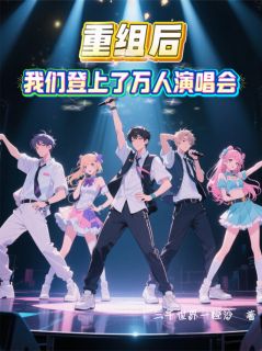 重组后，我们登上了万人演唱会[抖音]小说-阿哲沈默凌风无删减阅读