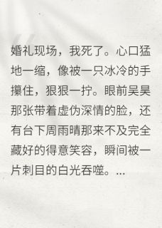 重生归来,我手刃恋爱脑(吴昊陆沉周雨晴)精彩小说目录阅读-欧迈阅读网