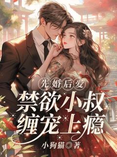 老书虫书荒推荐先婚后爱,禁欲小叔缠宠上瘾txt小说阅读