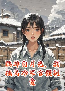 主角陆宴陈巧巧小说完整版-踹掉白月光,我被高冷军官强制爱免费阅读全文-欧迈阅读网