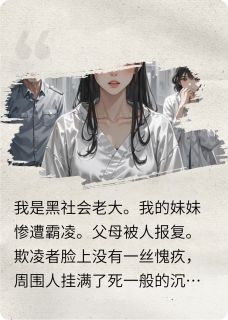 高质量小说当黑老大的妹妹被欺负之后在线试读