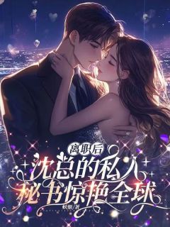 苏清晚沈砚川(原文完整)离职后,沈总的私人秘书惊艳全球无弹窗免费阅读