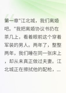 【热文】老公不碰我的真相，让我彻底崩溃主角江北城苏婉苏萌小说全集免费阅读