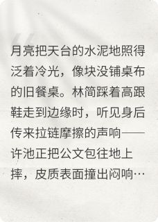 许池林简小说结局