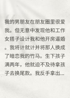 爆款小说是你设计让我怀,现在又后悔了?主角顾羽陈渠齐梅梅全文在线完本阅读-欧迈阅读网