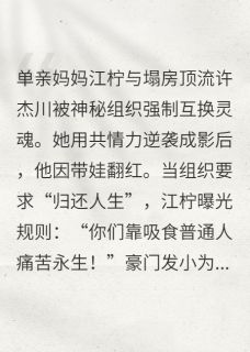 抖音灵魂借贷：我和顶流互换人生by勤劳勇敢快乐的小蜜蜂在线阅读-欧迈阅读网