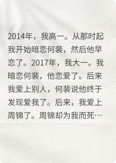 【该死的小偷】主角(何裴周锦)在线阅读