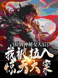 捡到神秘女人后，我被拉入惊天大案免费章节捡到神秘女人后，我被拉入惊天大案点我搜索全章节小说