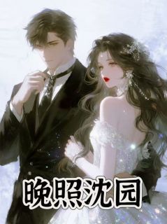 沈砚沈知微全文阅读最新 沈砚沈知微小说目录